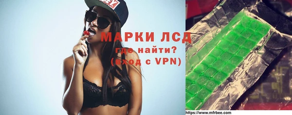 индика Верея