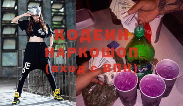 индика Верея